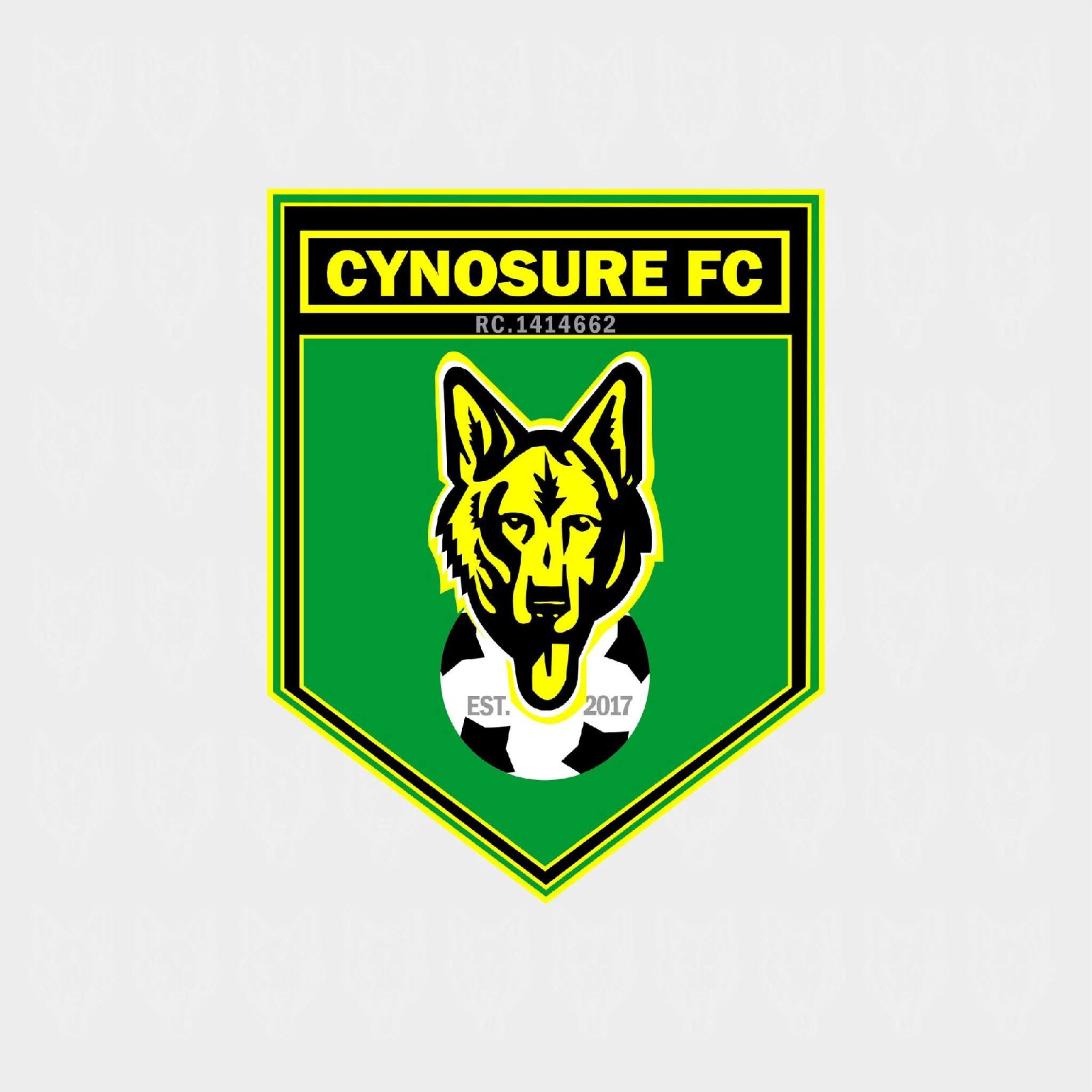 Cynosure FC Appeals Two-Year Ban, Calls for NFF Review